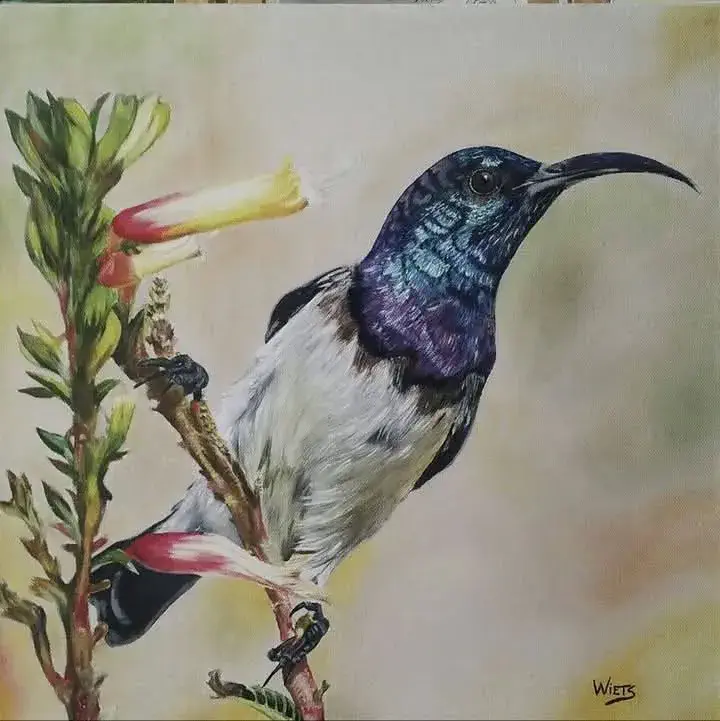 Original work