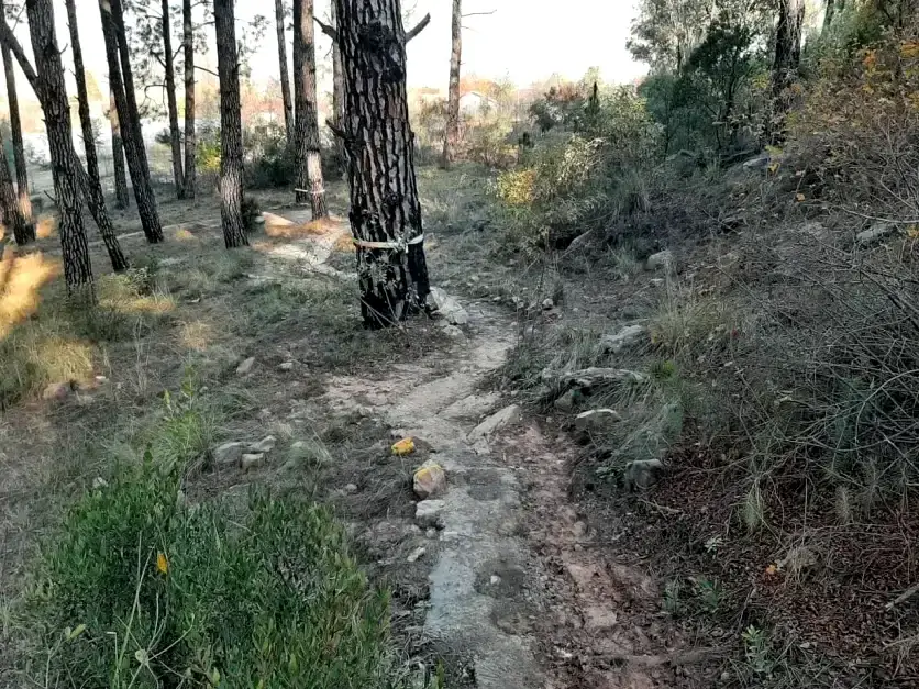 We try our best to control erosion on the pathways
